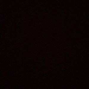 Meet your Posher, Torrey